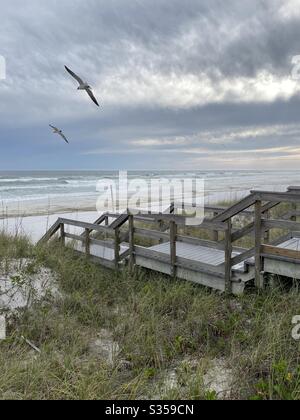 Seagulls flying over the beach with stormy clouds and wooden bridge Stock Photo