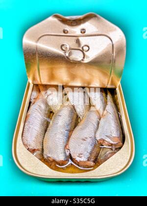 Opened tin of sardines in oil Stock Photo