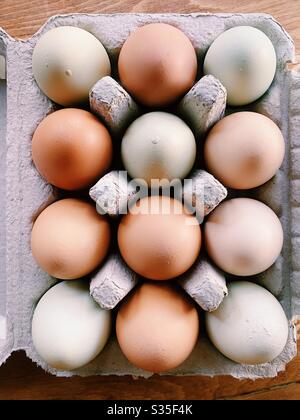 Overhead view of a dozen eggs - organic, pasture raised, non-gmo. Stock Photo