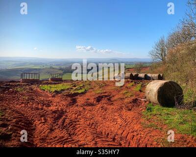 A countryside scene. The rolling hills of Devon. Red soil with tractor tracks. Hay bails and feeding troughs on a beautiful summers day. Stock Photo