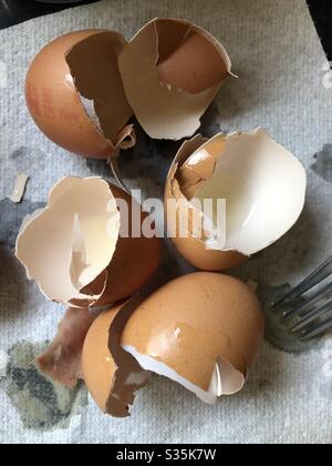 Broken egg shells left over from cooking. Stock Photo
