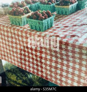 Strawberries on local farm produce stand impressionistic view Stock Photo