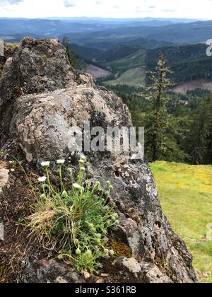 A rock outcropping at the top of horse rock Ridge in Sweet home, Oregon. Stock Photo