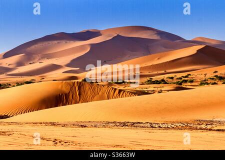 Sahara Desert Dunes Merzouga Marocco Stock Photo