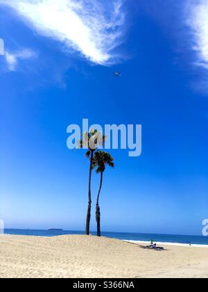 Dockweiler State Beach, Los Angeles, with a couple o of palm trees and a plane far in the sky. Stock Photo