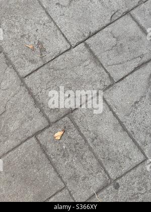 Grey cement floor, tile texture, suitable for use as grungy, abstract background for graphics and text Stock Photo
