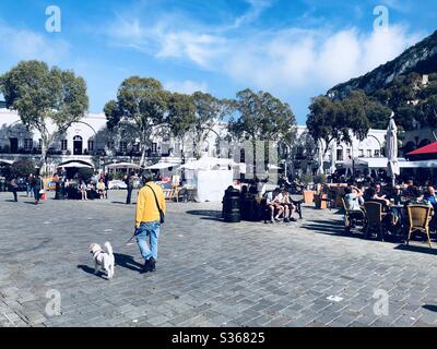 Man walking his dog through Casemates square in Gibraltar Stock Photo