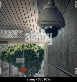 Close up on security camera in a transparent, half-dome on wall with part of a tree visible in the background Stock Photo