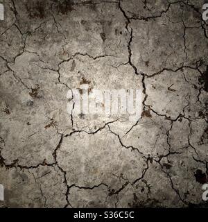 A photograph of dry parched ground in a garden, drought conditions. Dry soil in need of rain. Stock Photo