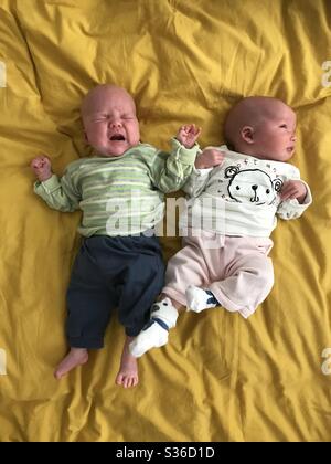 Male and female twins (6 weeks old) on a yellow bed sheet. London, England Stock Photo