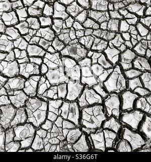 Cracked earth. Stock Photo