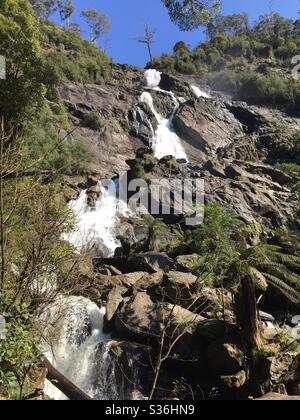 St Columba Falls, Tasmania Stock Photo