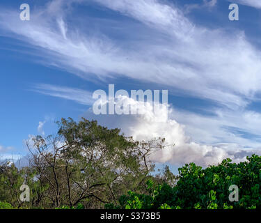Blue sky with patchy white cumulus clouds and Australian bush Stock Photo