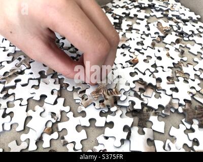 Hand picking up a puzzle piece from a big pile Stock Photo