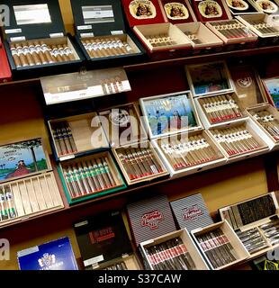 A variety of cigars from all over the world in the cigar humidor of a cigar shop. Stock Photo