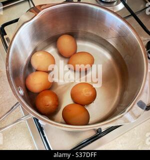 Closeup view of free range organic farm eggs in a pan of boiling water. Preparing hard boiled eggs on the stovetop. Gently simmering over gas stove. Stock Photo