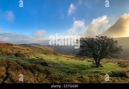 Long Mynd in the Shropshire Hills Area of Outstanding Natural Beauty (AONB) England on a sunny February morning Stock Photo