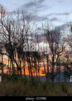 Silhouetted trees in front of sun setting behind hills Stock Photo