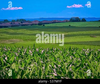 DUBUQUE, IOWA, June 25, 2020--Landscape photo of Iowa green farm field near City on beautiful summer day. Stock Photo