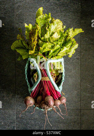 Bunch of baby beetroot plants with leaves in basket after harvesting Stock Photo