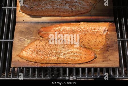 Rainbow trout being grilled on cedar planks with a touch of herbal spices, July 2020 Stock Photo