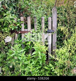 Old wooden garden gate blocked by overgrown weeds - France. Stock Photo