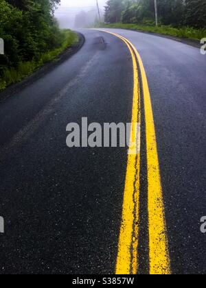 Road disappearing into the mist, Canada. Concepts: towards, lost horizon, solid lines, non-linear, bendy, curvy, not straight. Where to? Double yellow. The infinite. From here to. .. Stock Photo