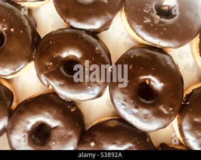 Top view of a full frame of chocolate covered donuts in a white box Stock Photo