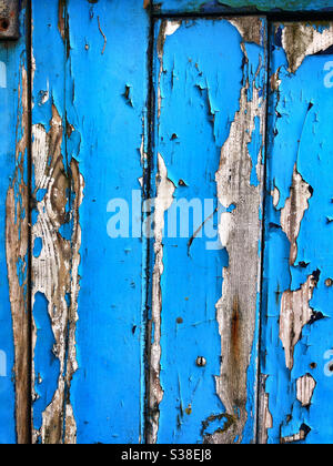 Old blue paint flaking off a wooden garage door Stock Photo