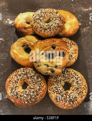 Home cooked bagels.  Everything and Blueberry Stock Photo