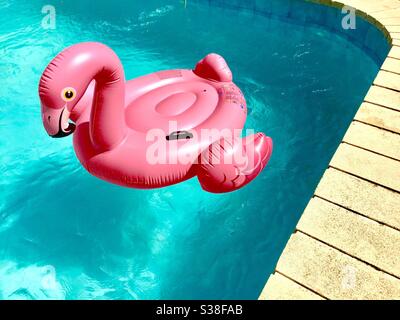 Pink swan pool sales float