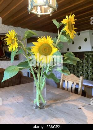 Vase with harvested blooming sunflowers on wooden table in vintage Bavarian farm house Stock Photo