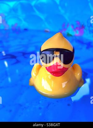 Yellow rubber duck with sunglasses, floating in pool Stock Photo