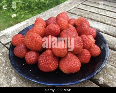 Freshly picked strawberries on a black plate Stock Photo