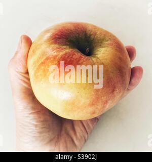 A hand holding a large apple Stock Photo