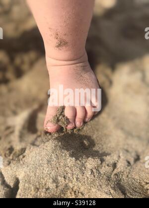 Sandy toes Stock Photo