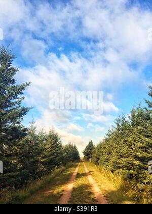 The Confederation Trail or the Trans Canada Trail in rural, Prince Edward Island, Canada. Stock Photo