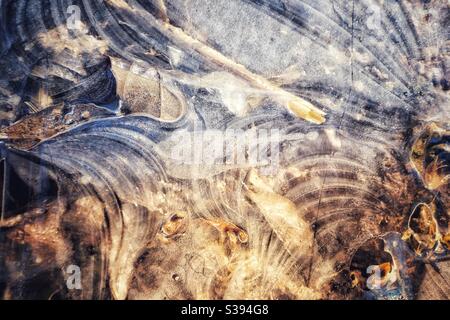 Ice patterns on ground on frozen puddle with leaves and debris on ground Stock Photo