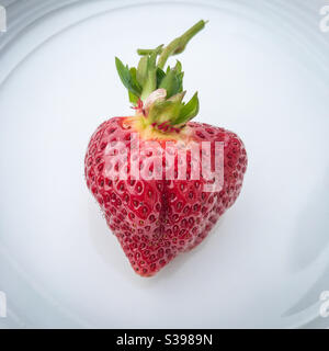 A wonky strawberry on a white plate Stock Photo