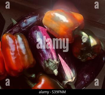 Bell peppers lying on eggplants Stock Photo