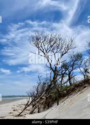 San dunes at Crane Beach. Ipswich, Massachusetts Stock Photo