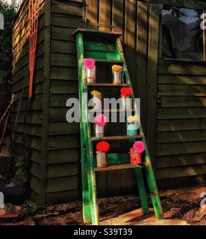 Old wooden ladder decorated with flowers in tin cans. Stock Photo