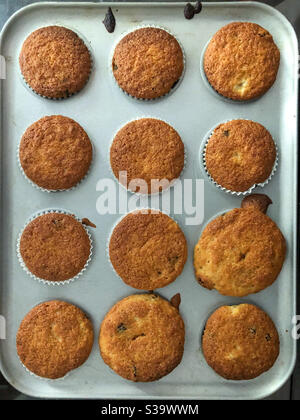 Looking down at homemade buns in a baking tray. Stock Photo