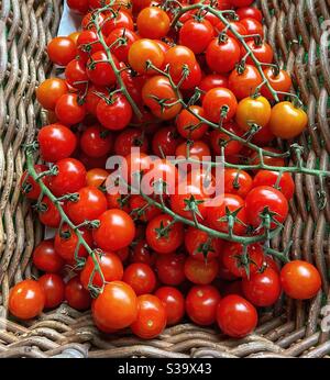 Fresh cherry tomato on the vine in a wicker basket Stock Photo