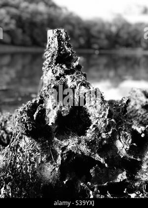 the dark tower Stock Photo