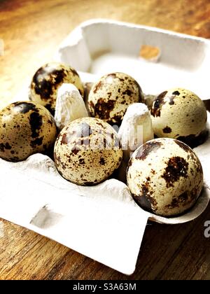 Quail eggs in a tiny quail egg box Stock Photo