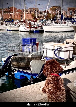 Wow. A wonderful view of boats over the wall. Stock Photo