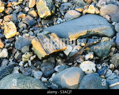 grey stones in Loe Beach sunrise Stock Photo