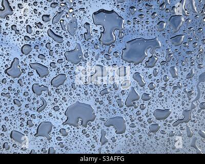 Globules of water on a shiny surface after a shower Stock Photo