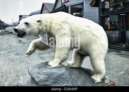 Stuffed polar bear outside shop in Longyearbyen, Svalbard. Stock Photo